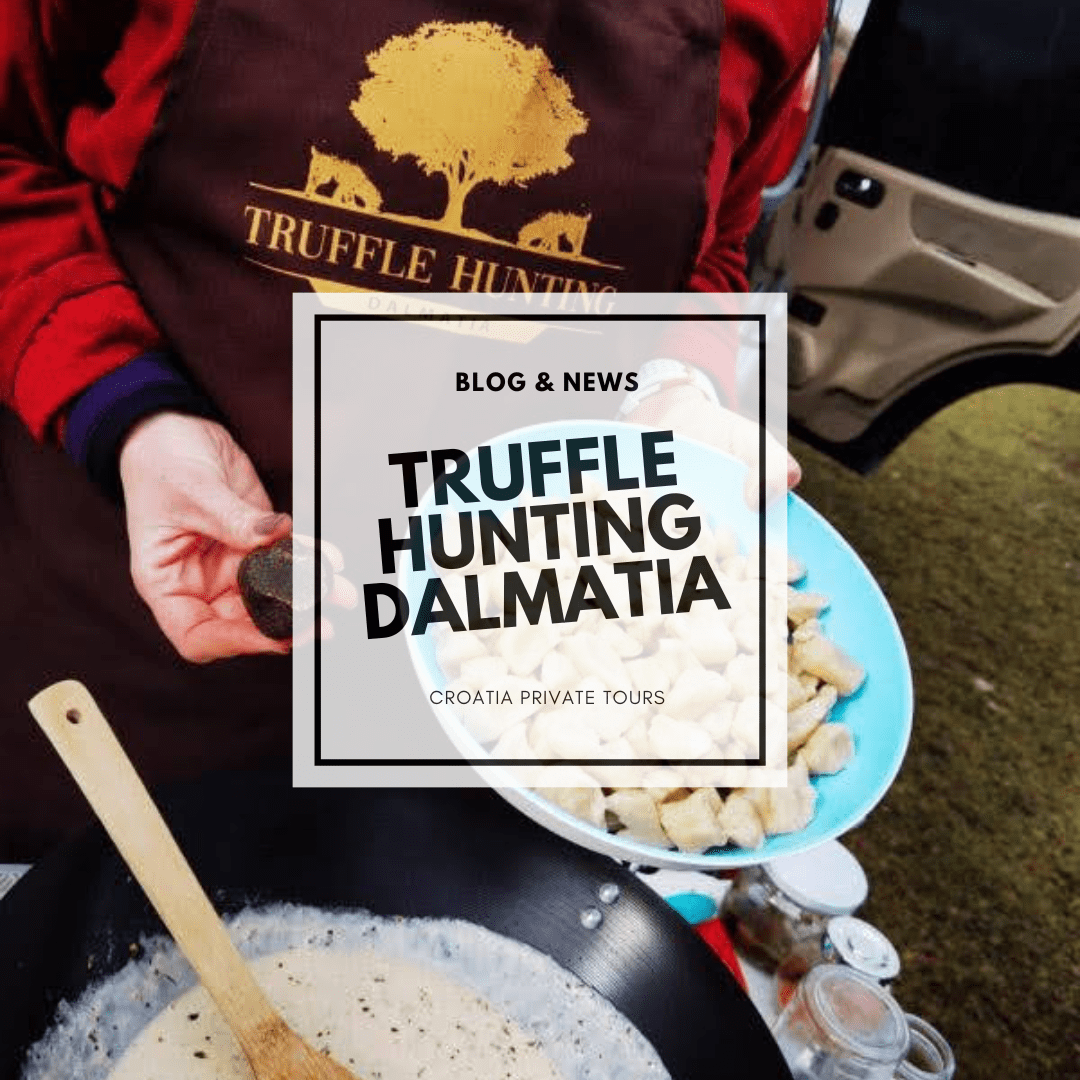Truffle Hunting Dalmatia | Croatia Private Tours
