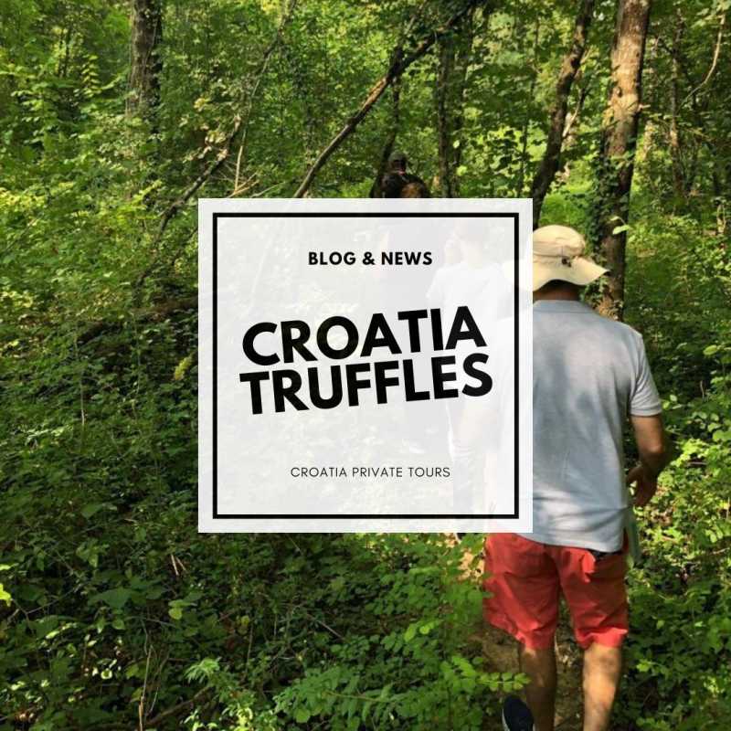 Croatia Travel & Guide Blog - croatia truffles | Croatia Private Tours